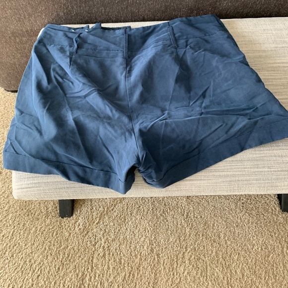 American Eagle Shorts - Picture 3 of 3